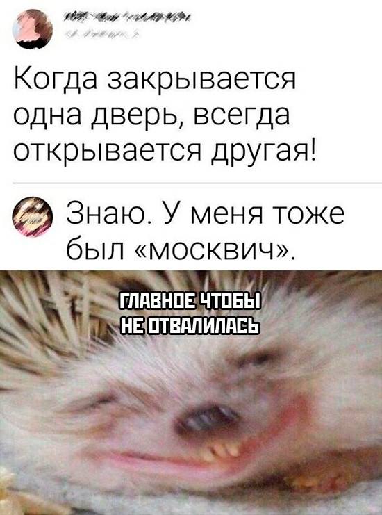 Веселое настроение в картинках (03.10.2025)