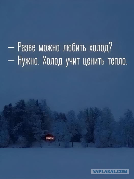 Субботние картинки