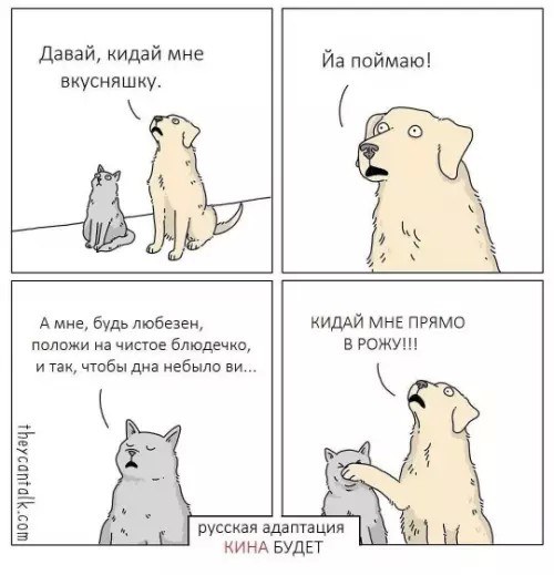 Котямбосы