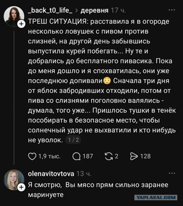 Чё там слизни или медведка?