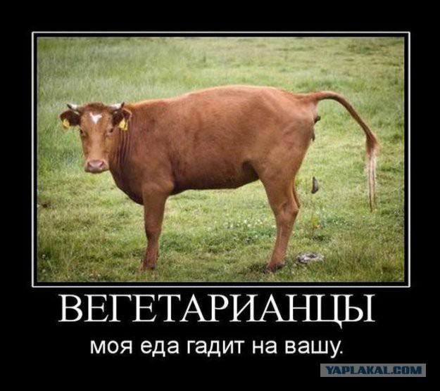 Плюсы и минусы различных видов мяса