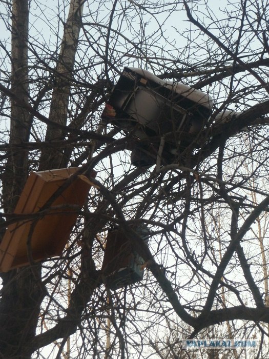 Всякое
