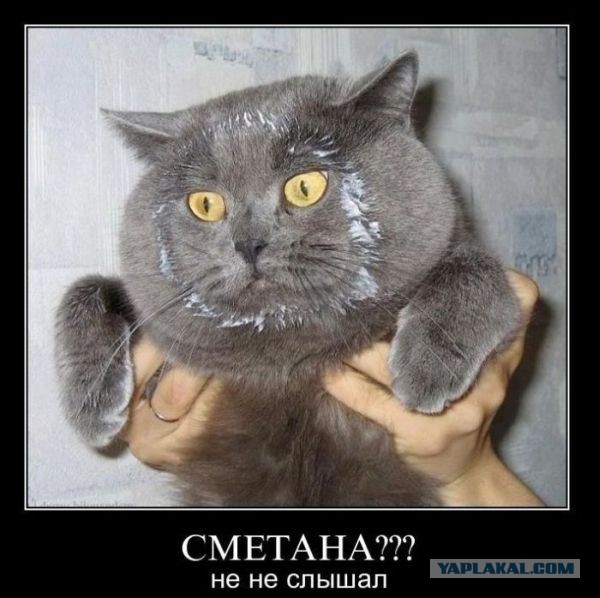 Немного позитива на пятницу