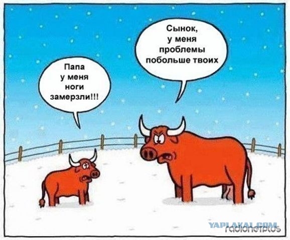 Картинки