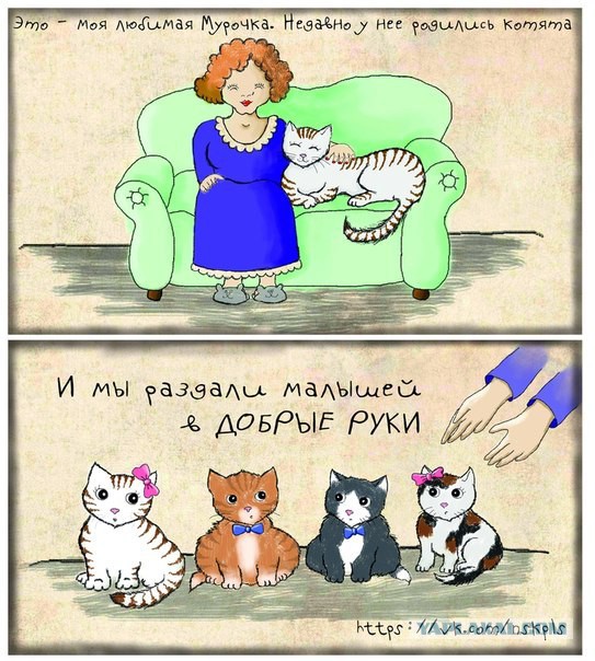 Кастрация кошек и котов