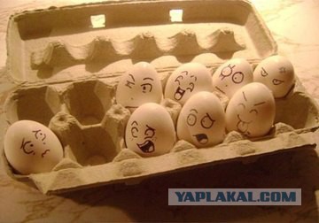 Из жизни яиц!