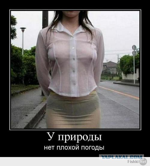 С утра за окном, Новосиб
