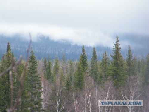 За что я люблю свой край