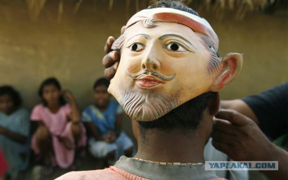 Никогда не поворачивайтесь спиной к большим кошкам