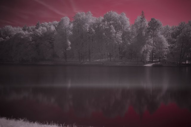 Искусство инфракрасной фотографии