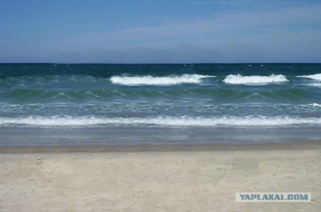 Фотошоп-мастер!