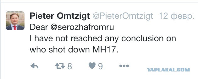 Нидерланды знают, что Боинг сбила Украина