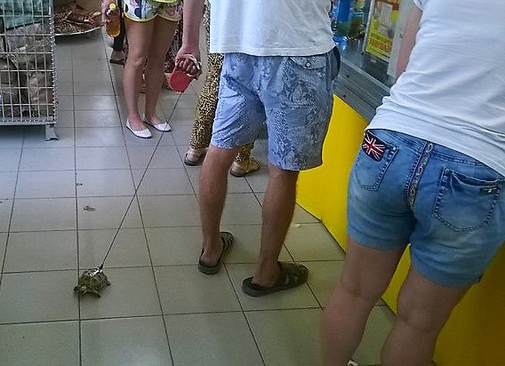 Ужасы и приколы из соцсетей 18+