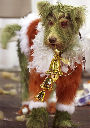 Объемные стрижки (5 фото)