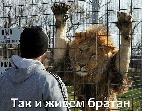 Картинки с буквами и без.