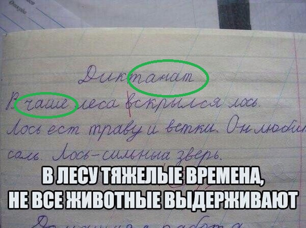 Тупенькие картиночки.