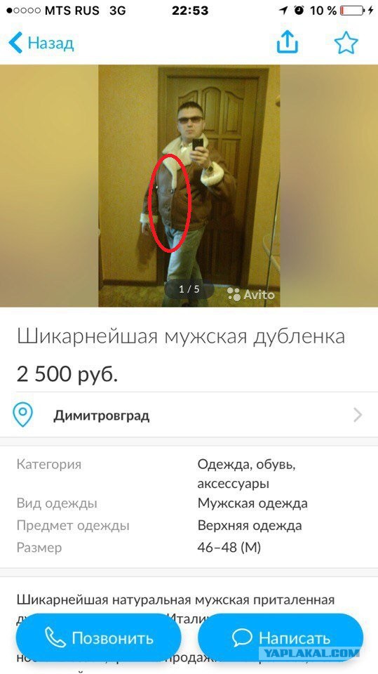 Трешак и вакханалия из соцсетей