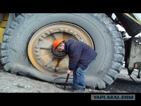 Подборка интересных и веселых картинок