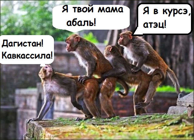 Про семью обезьян в метро