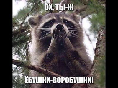 Каким должен быть настоящий мужчина?