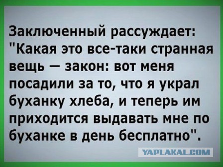 Подборка интересных и веселых картинок