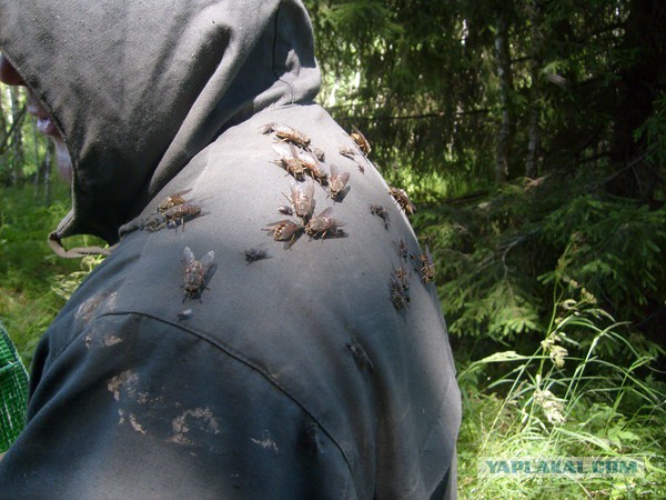 Девушка с замерзшими ресницами показала новую якутскую боль