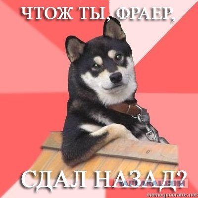 Я не одет! Простите, что хотели ?