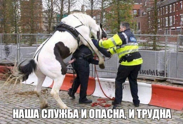 Немного картинок в эту субботу