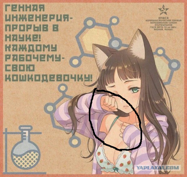 Прикольные комментарии и высказывания из Сети