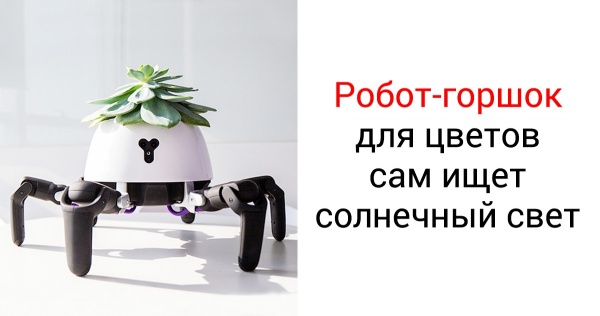 Картинки разные нужны, картинки всякие важны