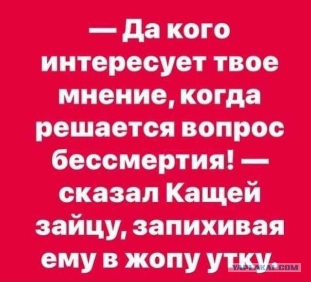 Картинки на воскресный день