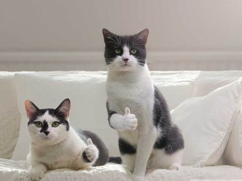 Калейдоскоп Картинок