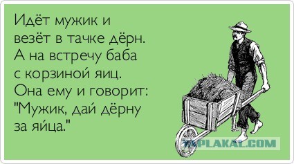 Во сколько миллионов рублей обошлась стране одна сыроежка для Путина?
