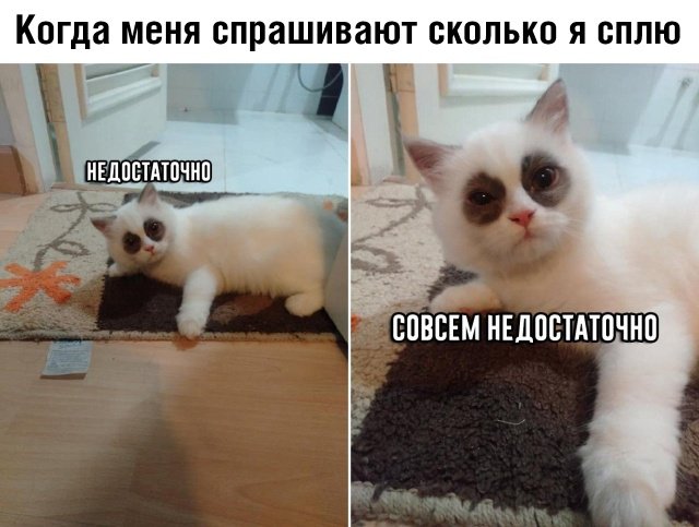 Как заснуть за 2 минуты в любой ситуации