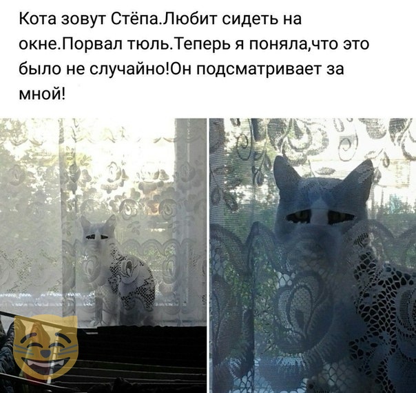 Борщ из картинок, людей, приколов, чуток боянов и всякого такого