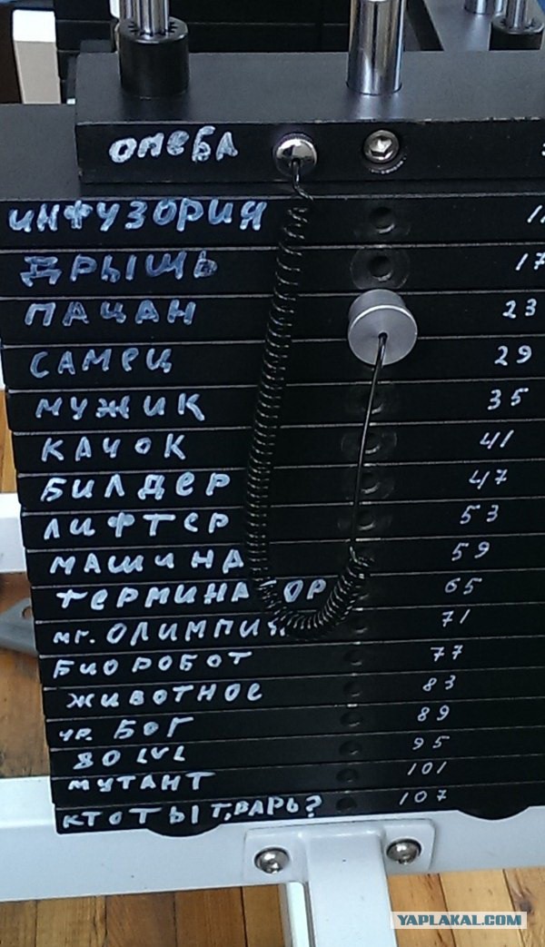 Фак! Казус на тренировке со штангой