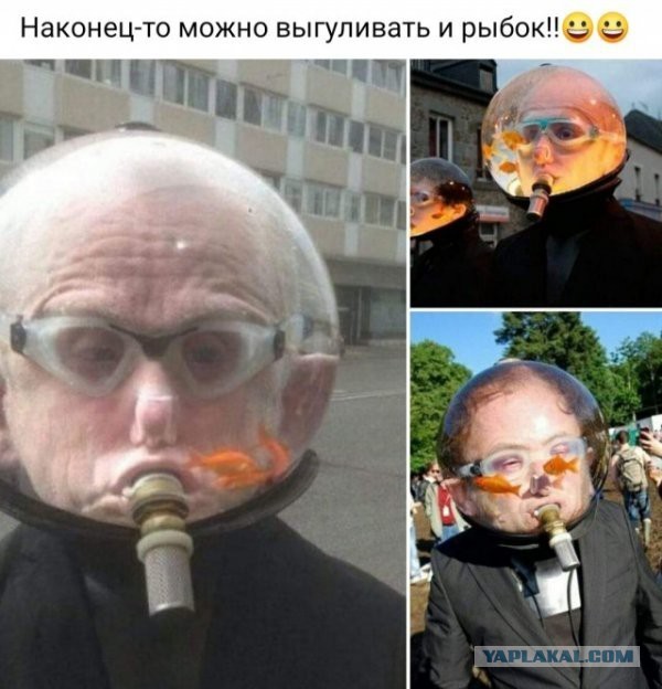 Картинки всякие