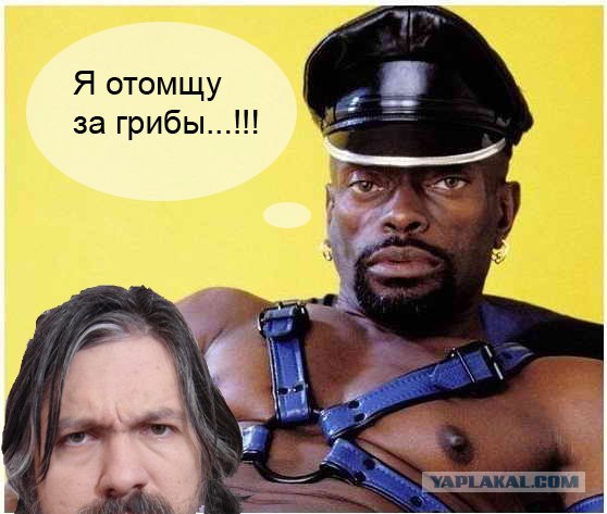 Фотожаба: Да грибам!