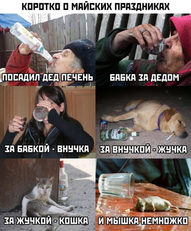 Алкопост 20.02.21