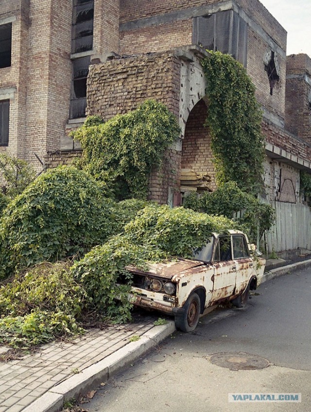 Заброшка