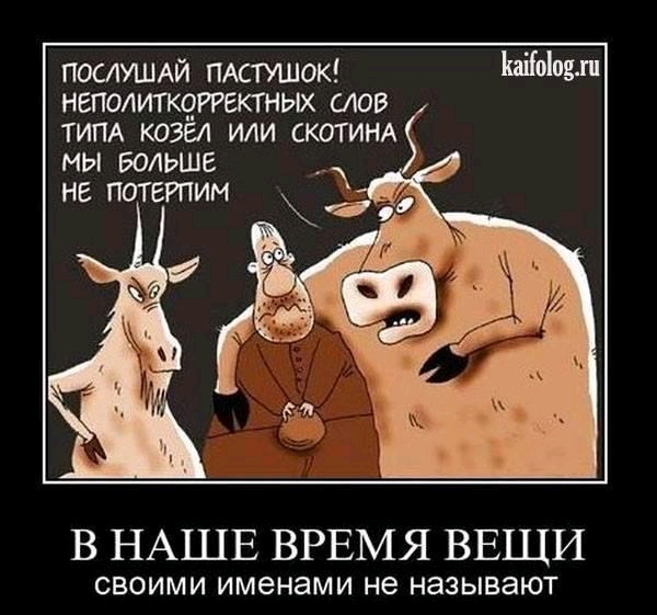 Картинки и мемы для настроения 02.08.2021