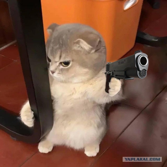Нехочух