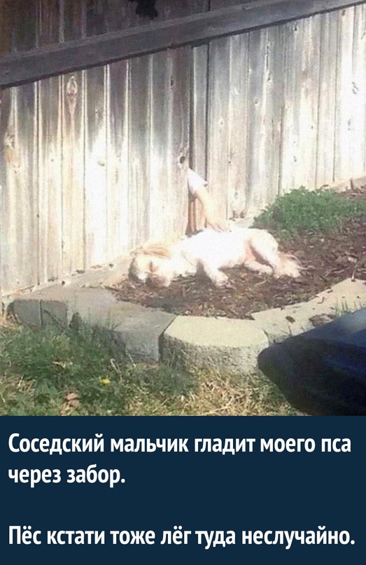 Картинки и мемы для настроения - 21