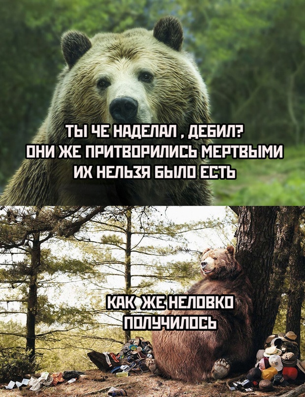 Весёлый полтишок 03.06.22