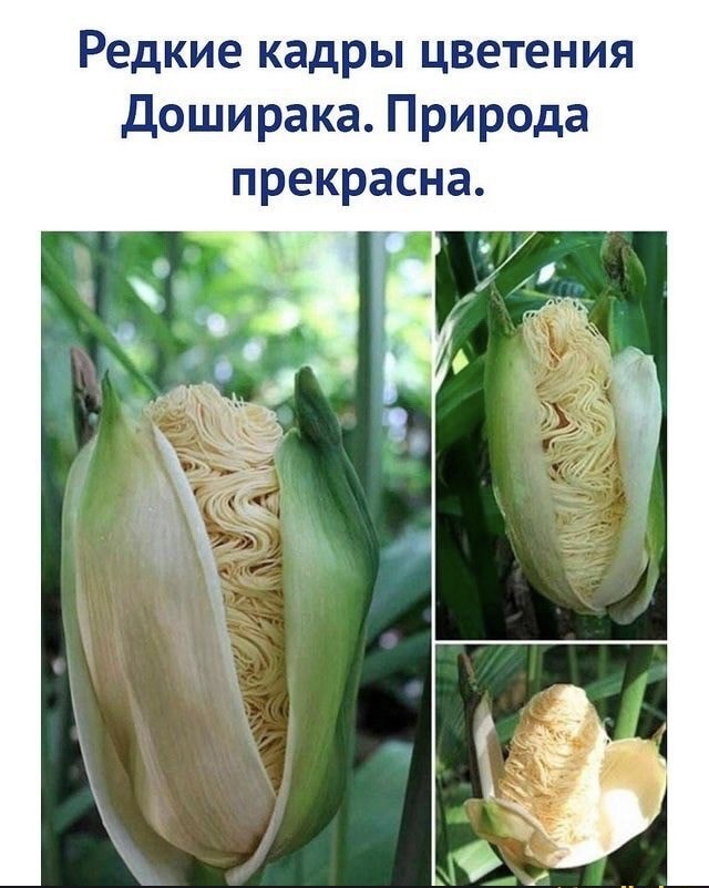 Так себе картинки 15.07.22