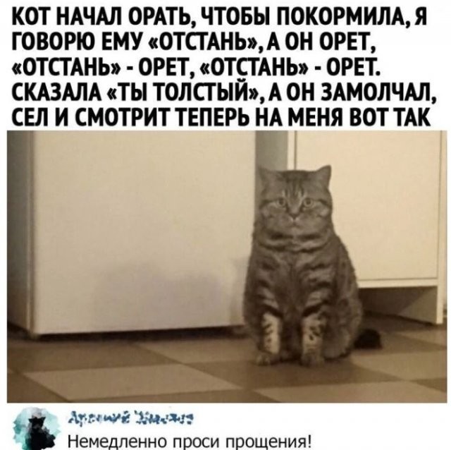 Скриншоты и комментарии из социальных сетей 22.07.22