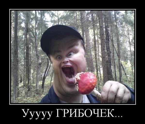 Вот с такими "царями" приходится работать сотрудникам почты в одном из городов Ивановской области