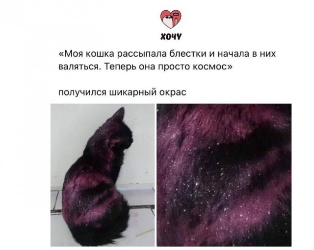 Картинки и мемы для настроения - 17