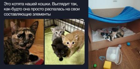 Картинки всякие, развесёлые и не очень. Vol 2.