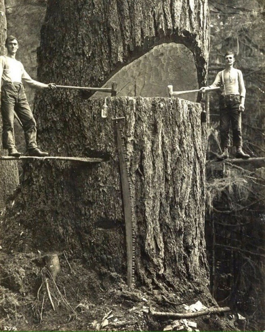 Фотопробег по истории 3